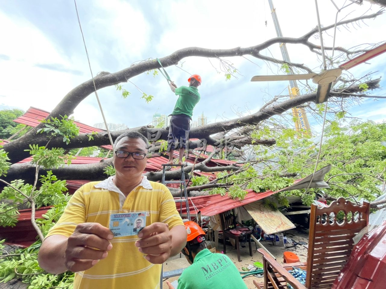用此版本(大北马)大树倒下压毁垄尾义务消拯队会所停车遮棚