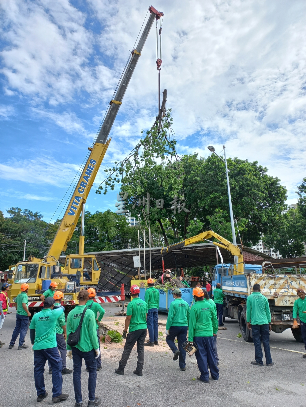 用此版本(大北马)大树倒下压毁垄尾义务消拯队会所停车遮棚