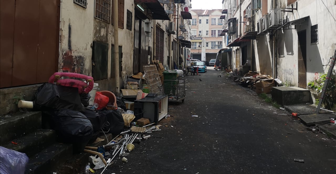 群鸦筑巢 垃圾遍地  商家：谁来管管？