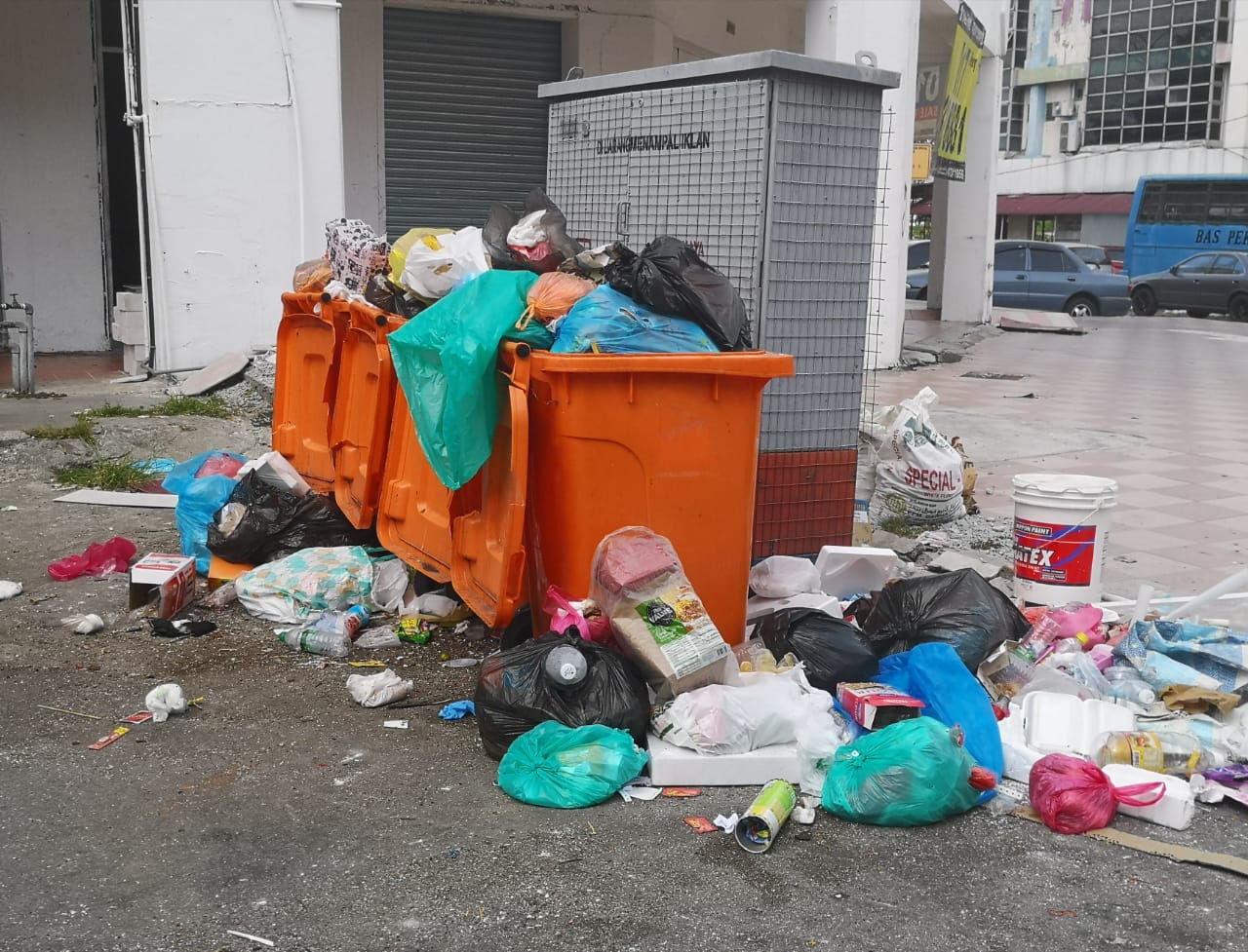 群鸦筑巢 垃圾遍地  商家：谁来管管？