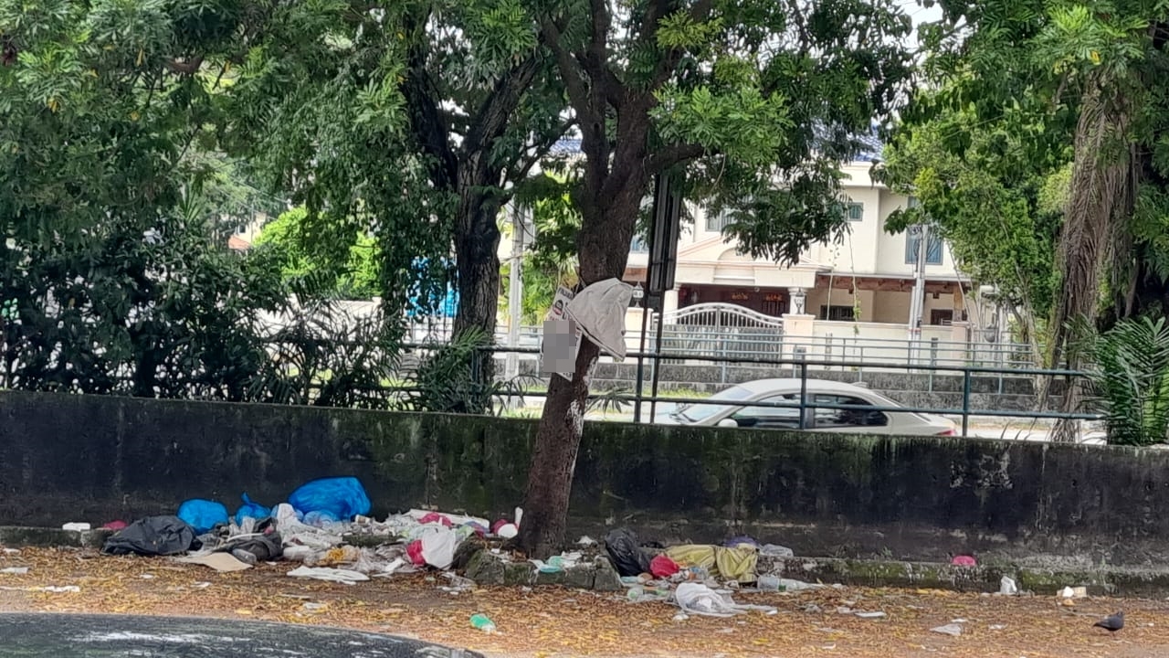 群鸦筑巢 垃圾遍地  商家：谁来管管？