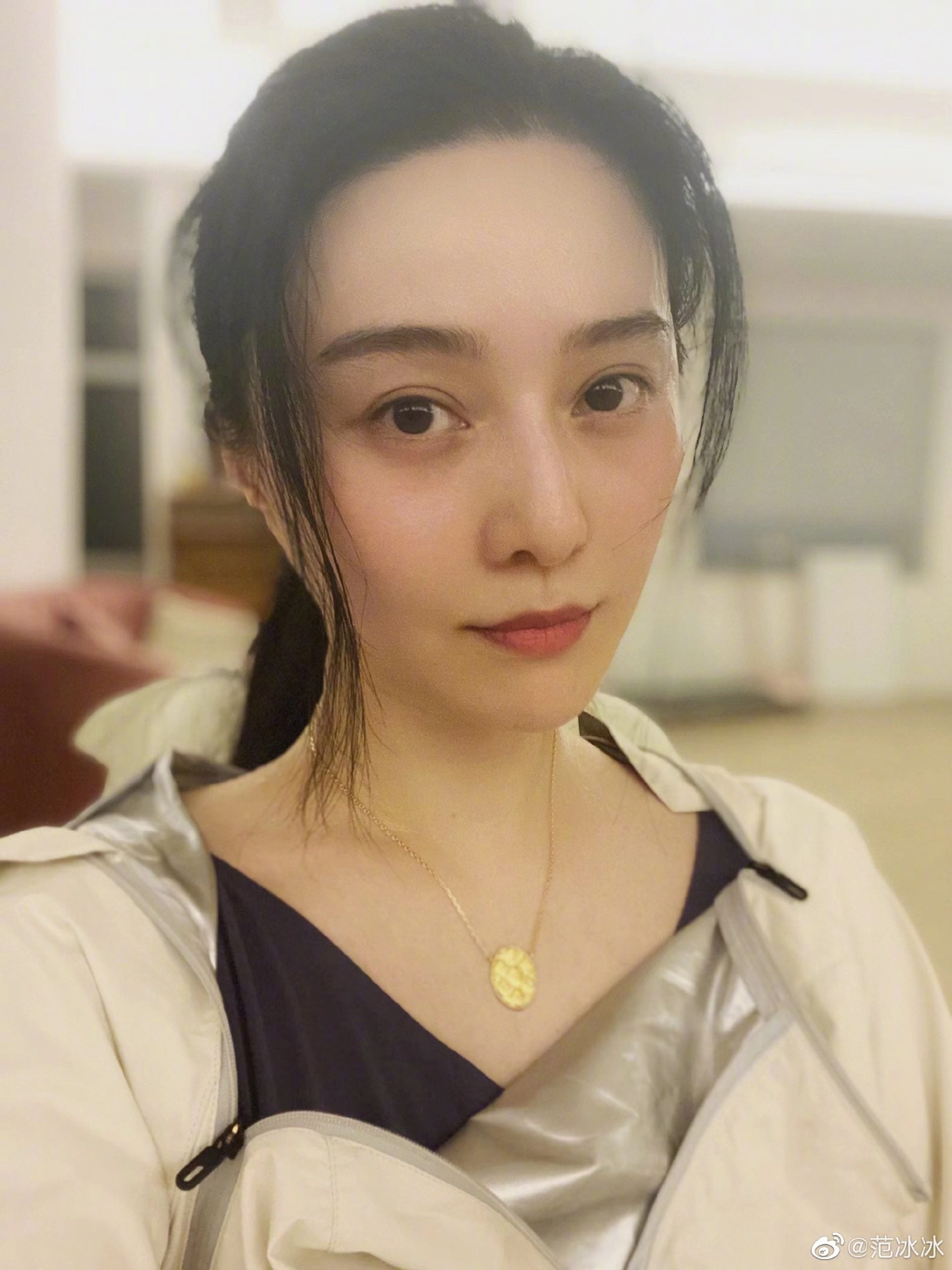 范冰冰新欢大起底 昔当军官现任金融副总裁