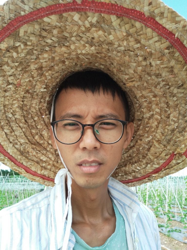 菜农种植成本大增 想方设法应对困境