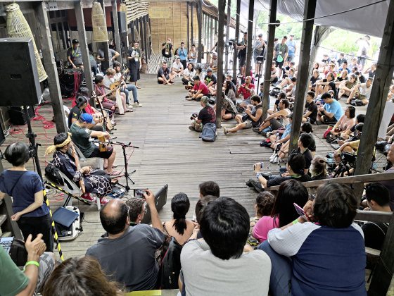 蔡羽／雨林世界音乐节的传奇廿五