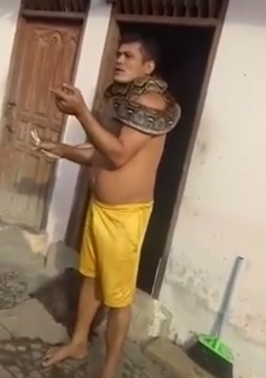 视频|抓蟒蛇绕脖子炫耀 男子疑被咬险丢命！