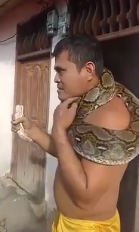 视频|抓蟒蛇绕脖子炫耀 男子疑被咬险丢命！