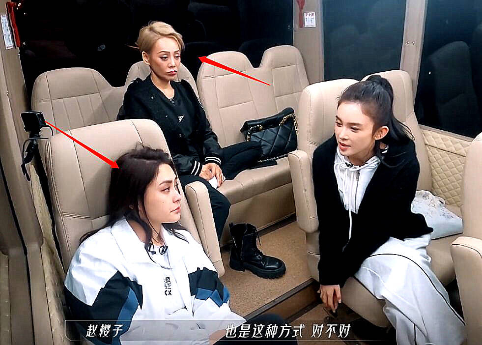 赵樱子批阿娇说话太直 网怒轰退出节目