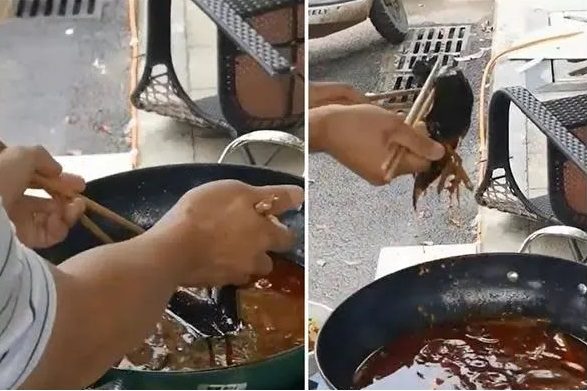 飞鸟冲入麻辣火锅吓坏食客 网民笑:给你们加菜啦
