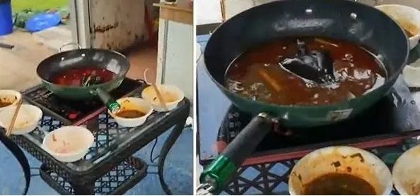 飞鸟冲入麻辣火锅吓坏食客 网民笑:给你们加菜啦