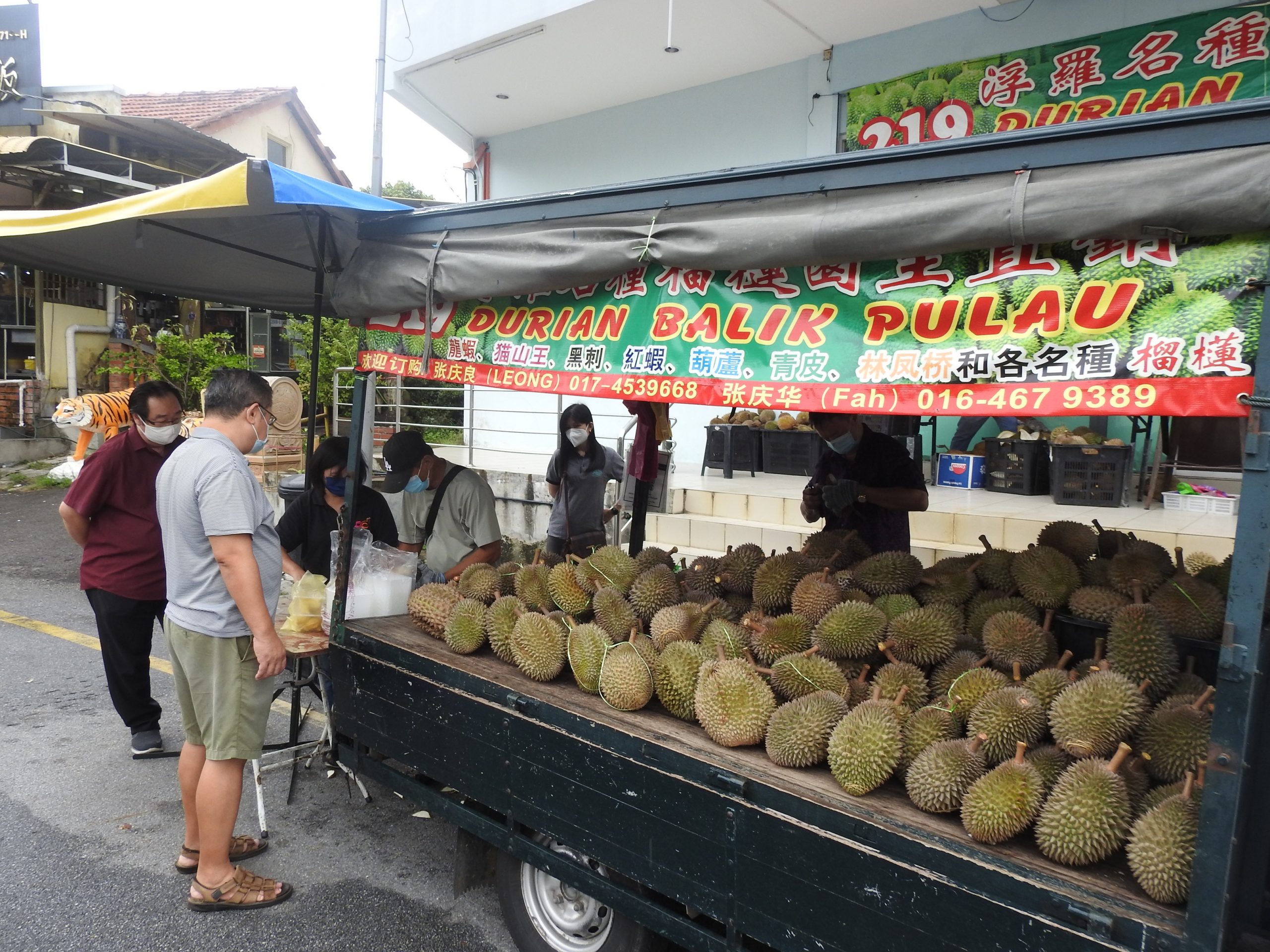 (8/6/有故事的人)念旧的人没忘记我家的榴梿!-张庆良