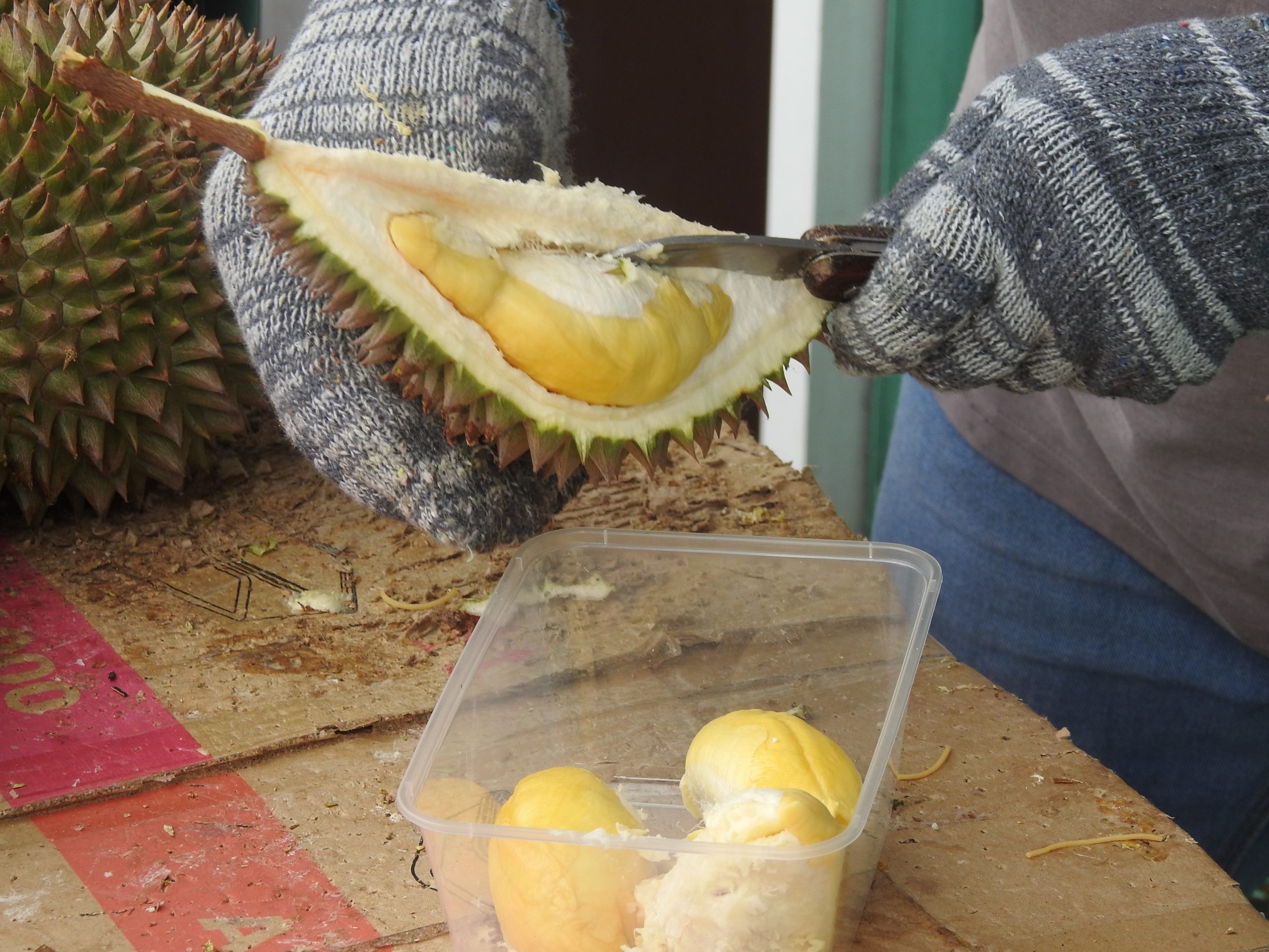 (8/6/有故事的人)念旧的人没忘记我家的榴梿!-张庆良