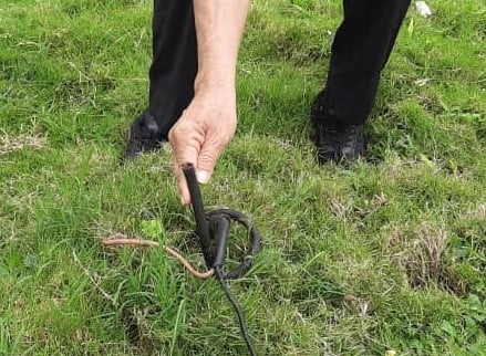 （古城封面副文）行人天桥一端走道成草地对使用者构成危险