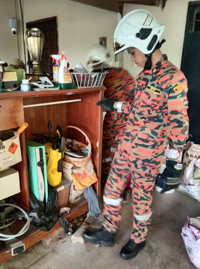 (古城版)储物柜藏蟒蛇吓坏屋主