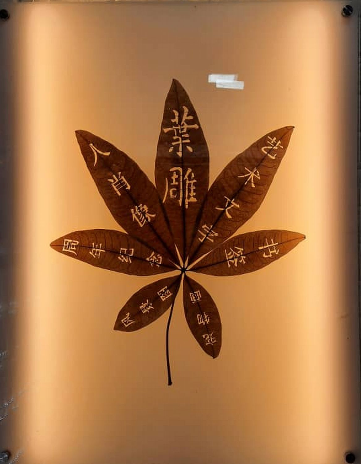 （古城第二版主文）叶子雕刻入大马纪录大全