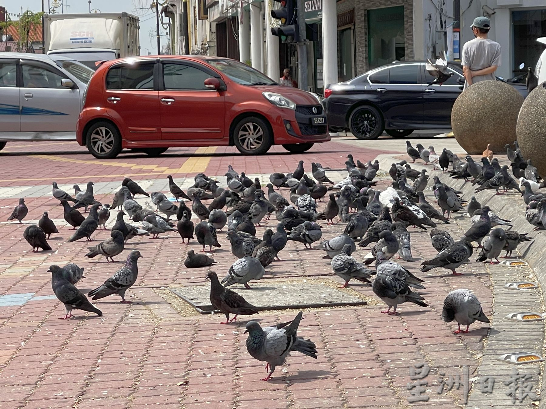 （古城第二版主文）长假鸡场街人流维持高峰·华裔家庭畅快旅游