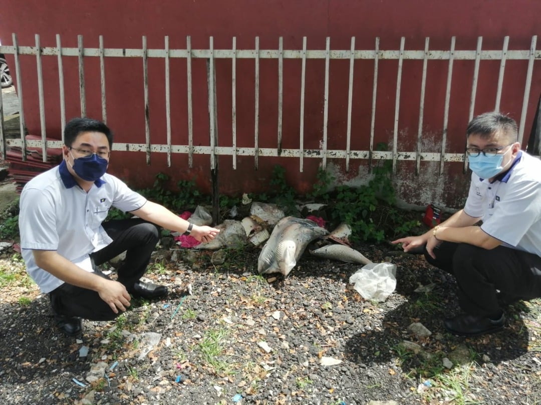 （大北马）重型车辆司机疑贪图方便，经常抄捷径出入住宅区内，干扰居民生活作息。