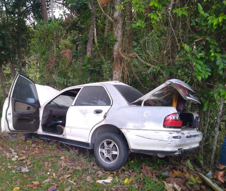 （已签发）柔：轿车撞路树司机被夹车内 消拯员助脱困并送院治疗