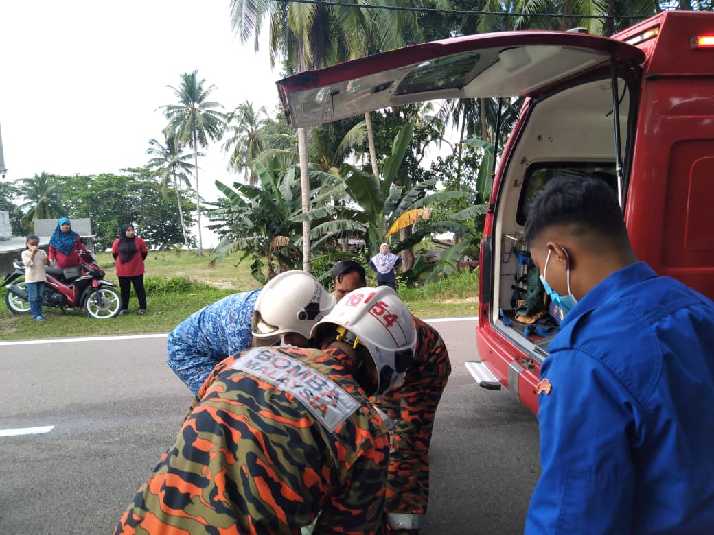 （已签发）柔：轿车撞路树司机被夹车内 消拯员助脱困并送院治疗