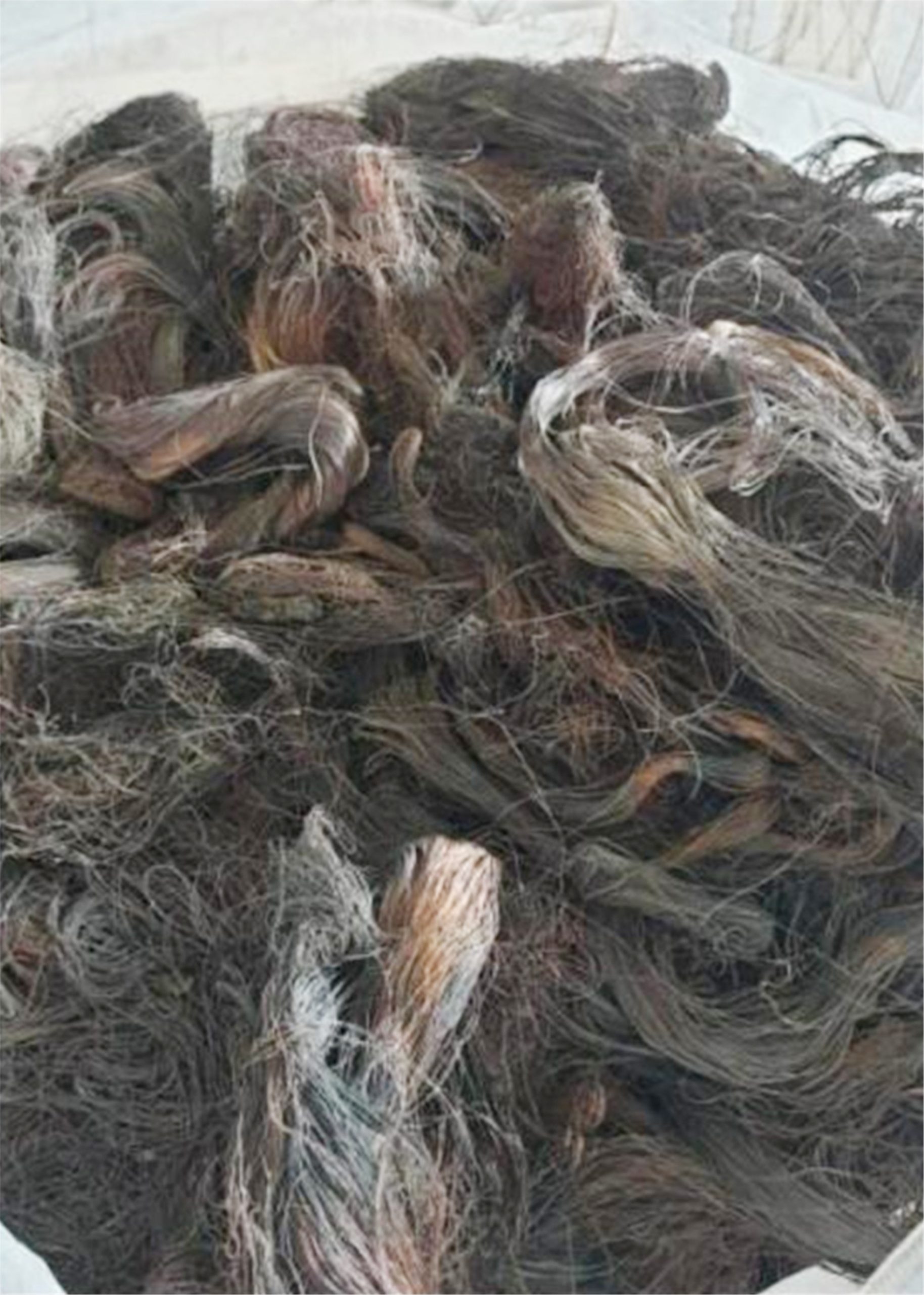 NS庇朥/偷电缆组织落网,警方起获逾1吨值3.5万电缆