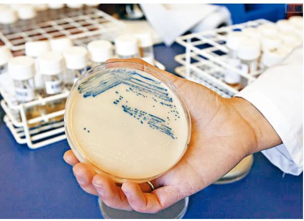 CDC曝 冠病疫情间 美「超级细菌」感染死亡激增