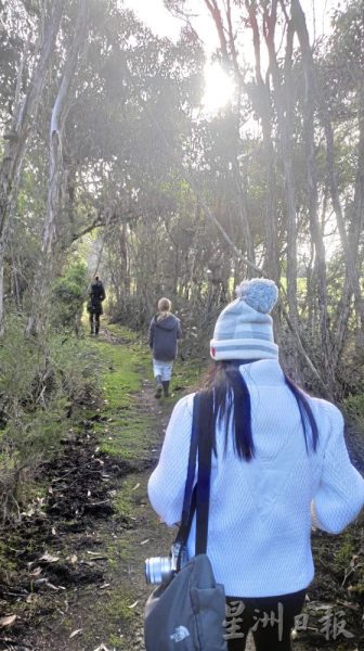 【澳洲】穿越古今,打卡墨尔本自然美景