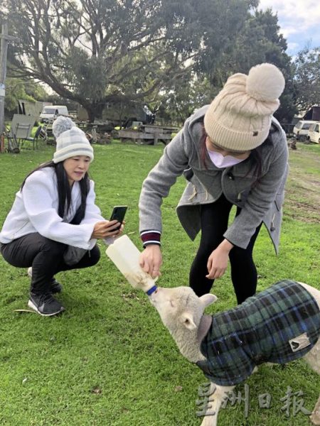 【澳洲】穿越古今,打卡墨尔本自然美景