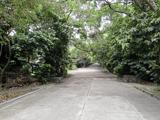 【香港】我们爱过的那个香港