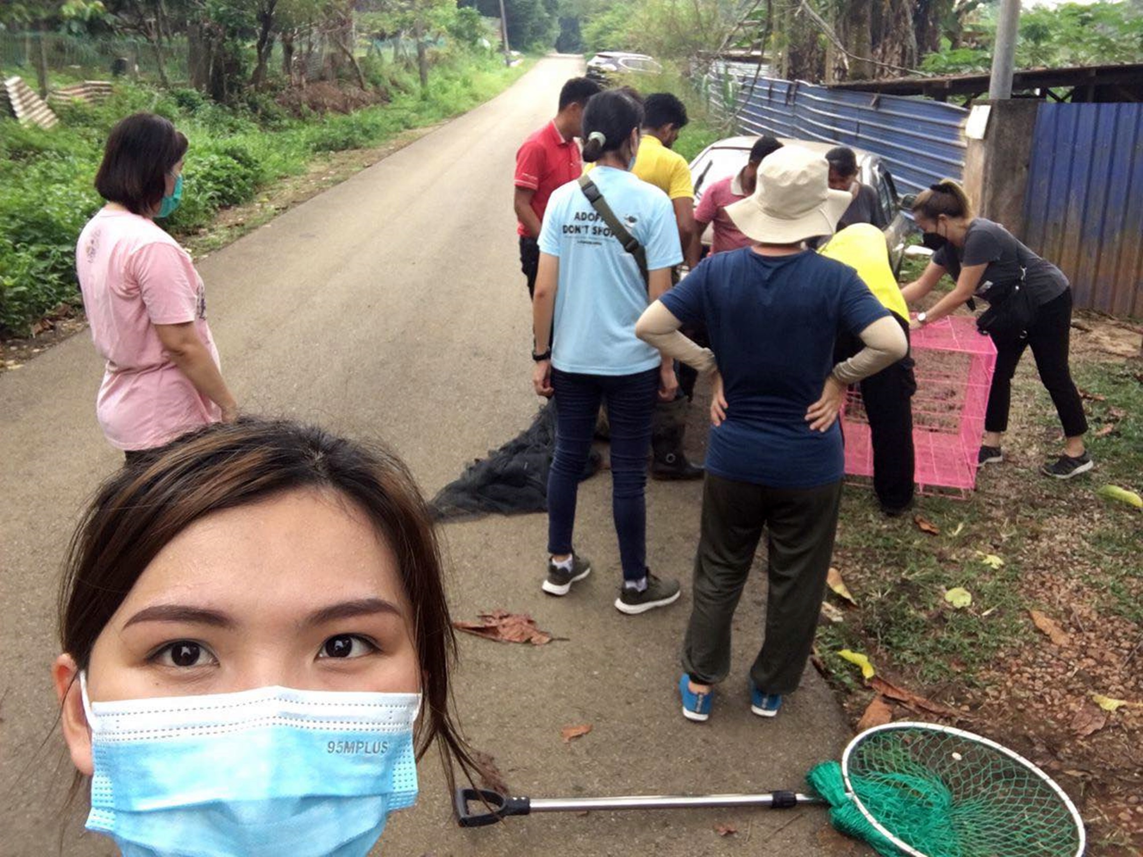 东10头:塑料桶套头6天无法进食,爱护动物组织联手拯救陷困流浪狗。