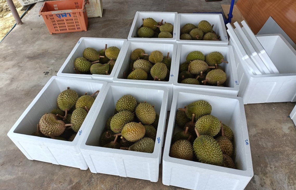 东:“坤玉榴梿”带动网购平台及快递服务。