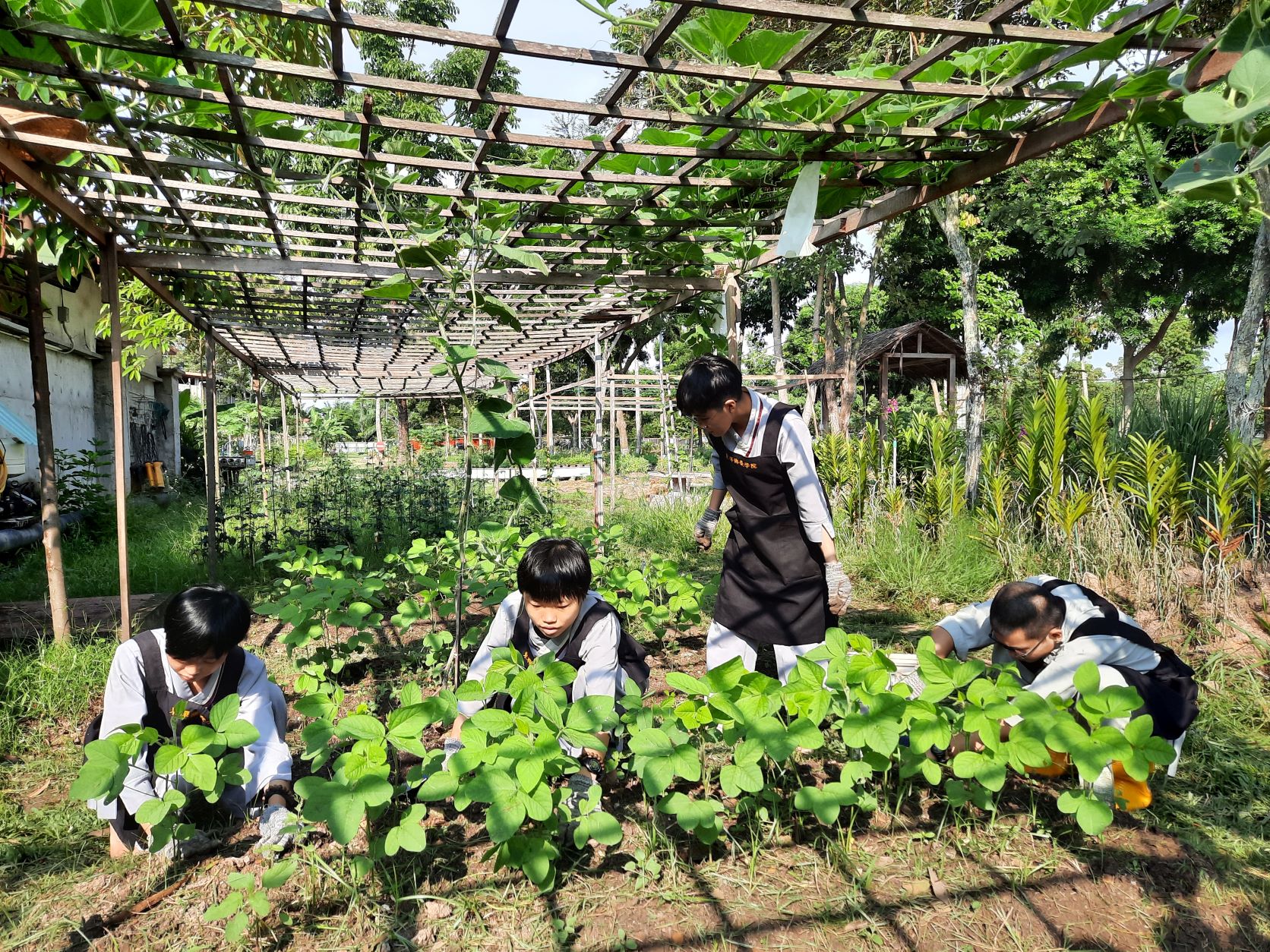 东禅佛教学院招生新闻