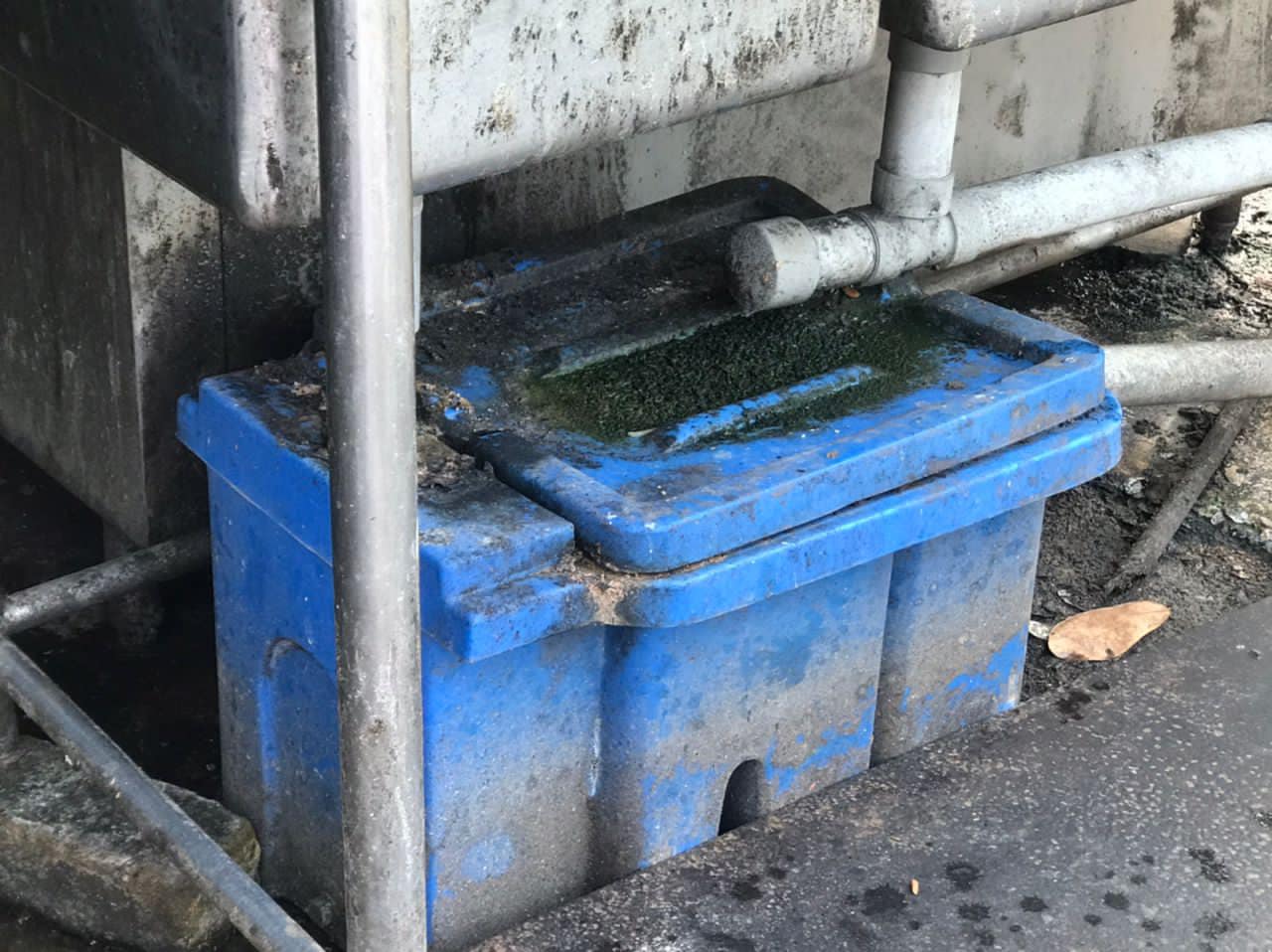 东：执迷不悟！