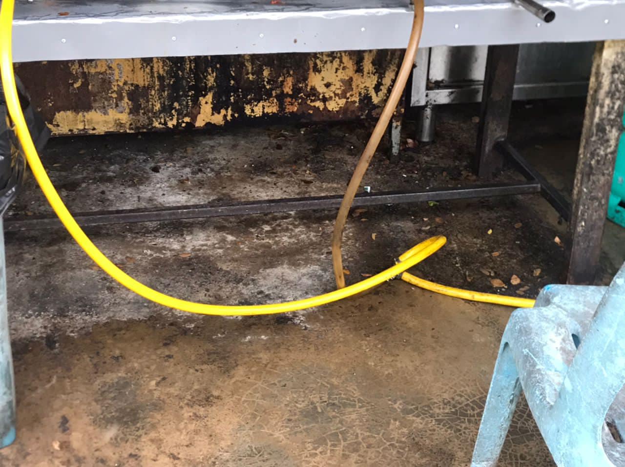 东：执迷不悟！