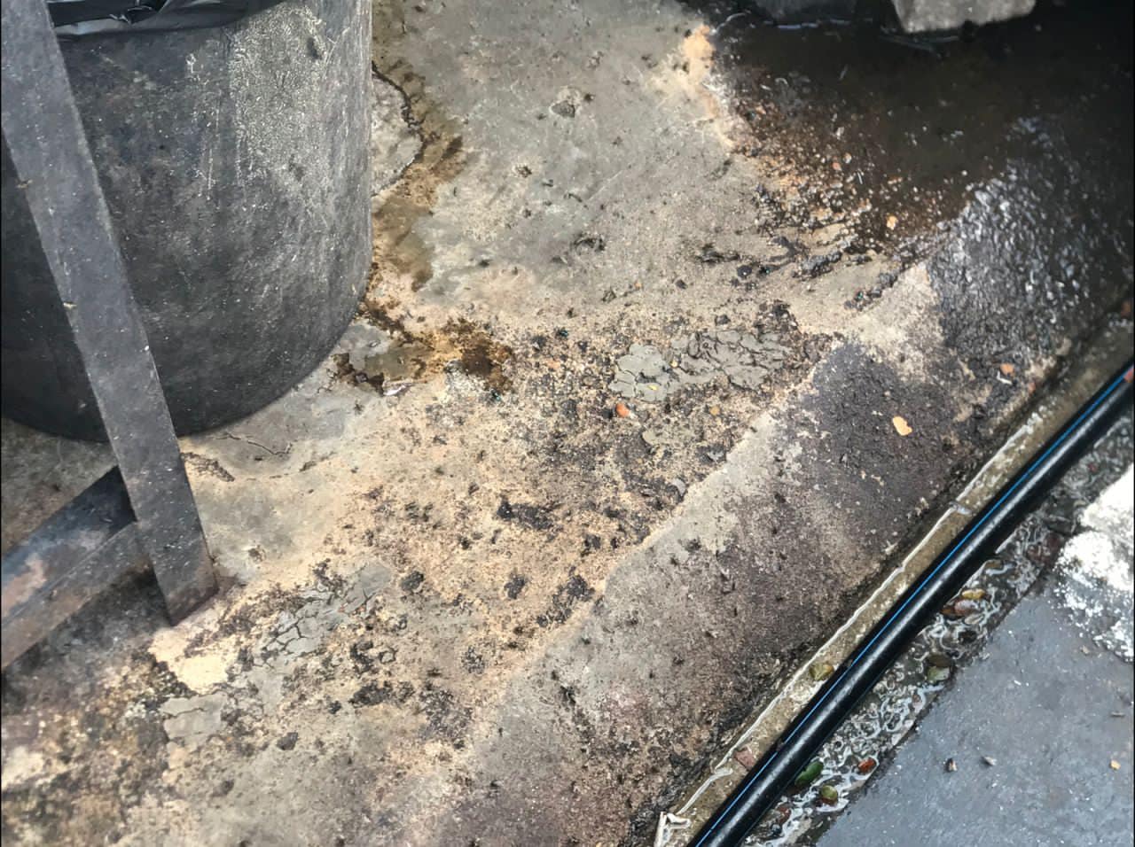 东：执迷不悟！