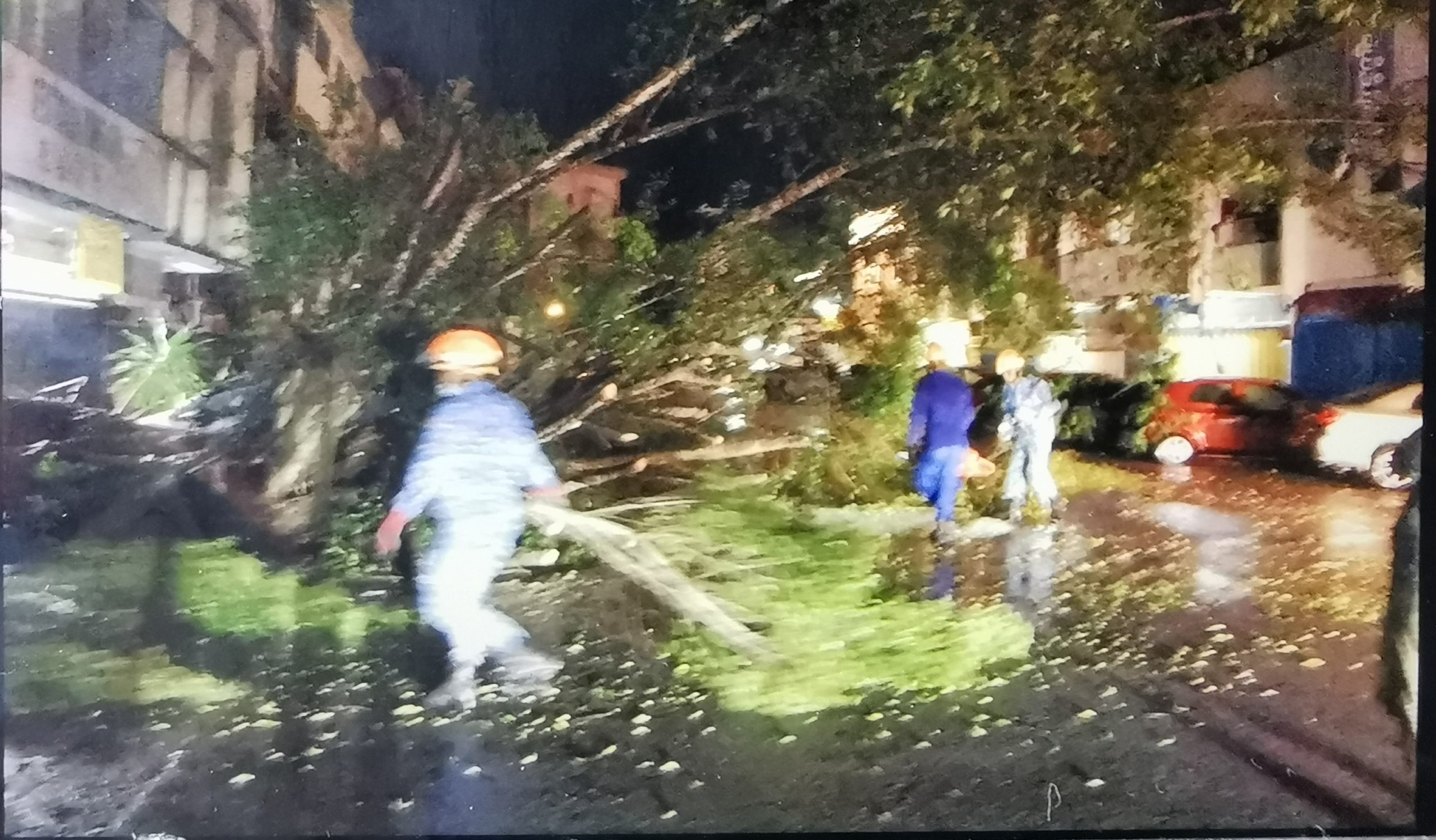 东：淡马鲁昨晚下起狂风暴雨，导致商店前一棵约30年老树被狂风吹到，所幸未伤及无辜。