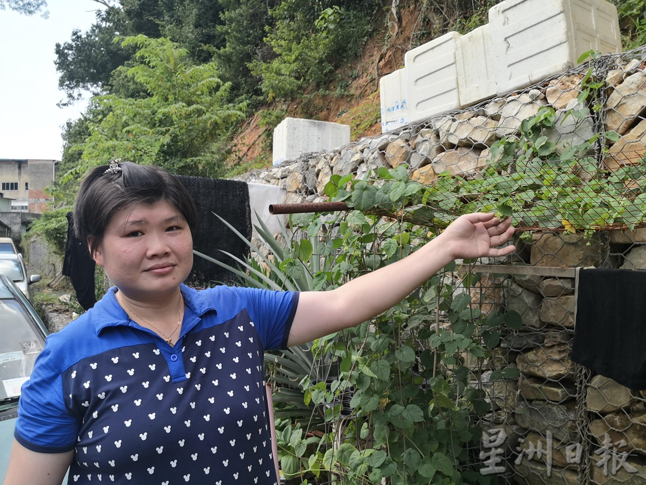 东:蔬菜价格高昂,村民纷纷在住家庭院空地种植瓜果蔬菜