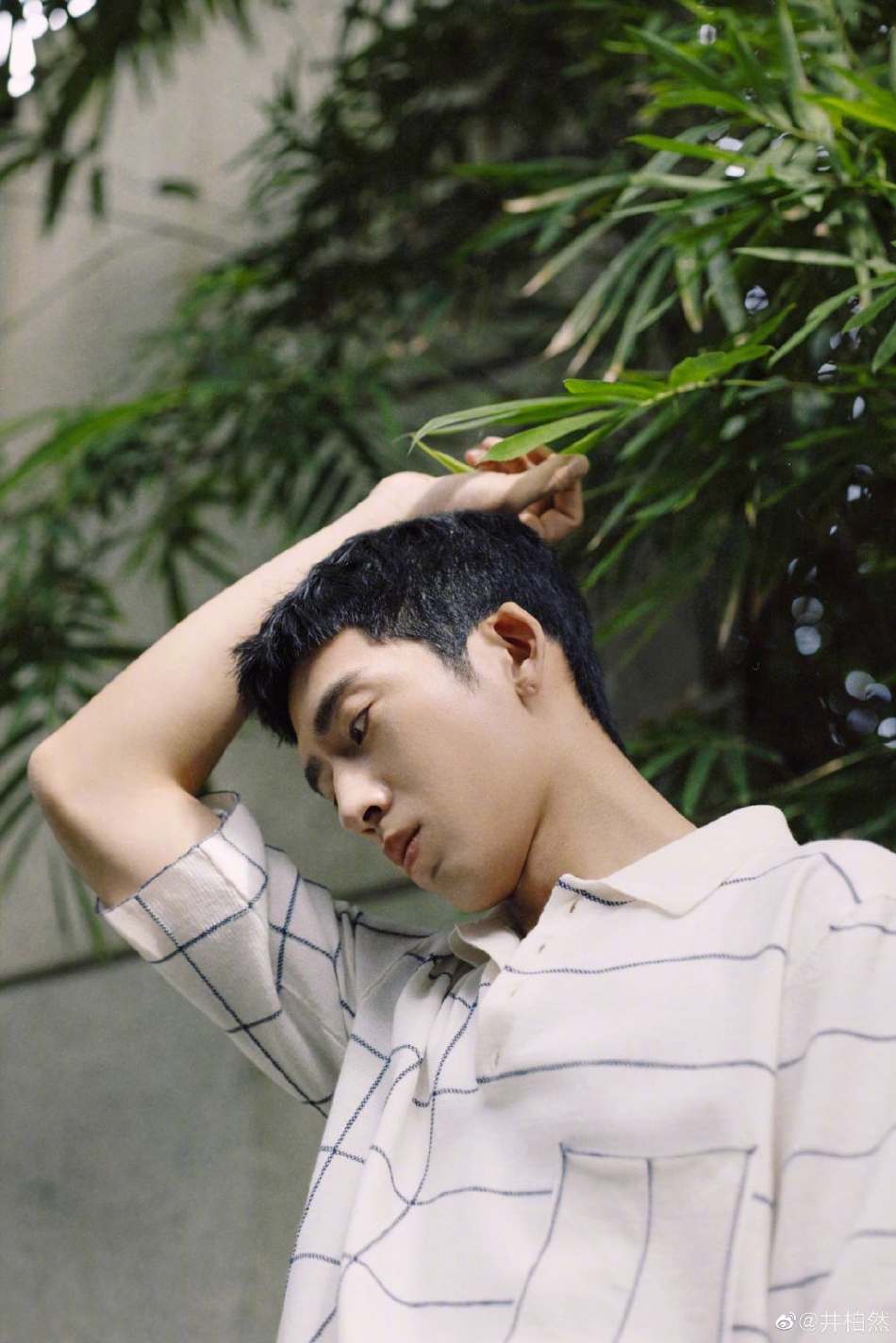 井柏然刘雯恋情实锤！ 十指紧扣与李荣浩夫妇餐聚	