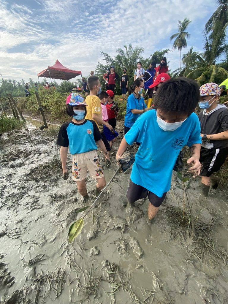 从土地发声 大专青年可以做什么