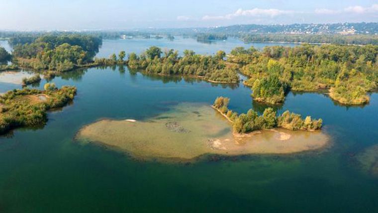 他在天体海滩盯著裸女自慰 阿伯连轰3枪当众夺命