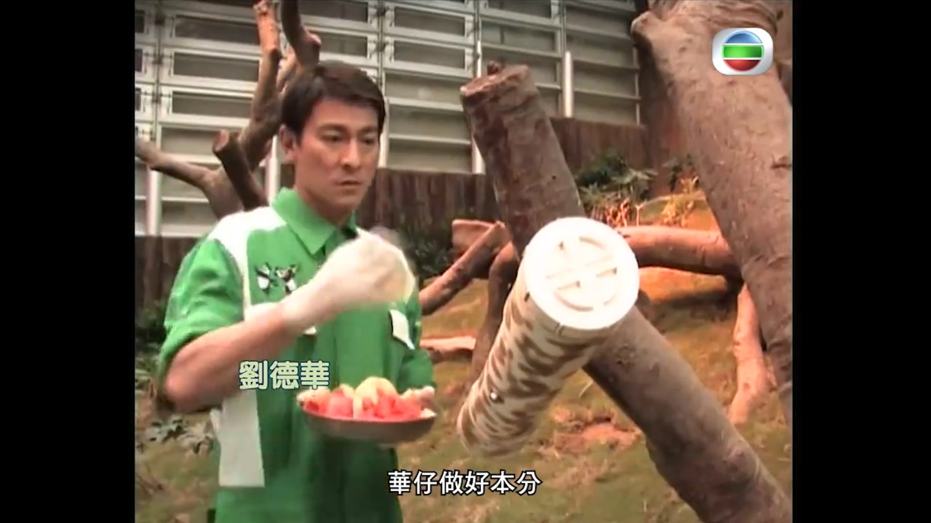 余安安艺名黄霑操刀 灵感竟跟熊猫有关