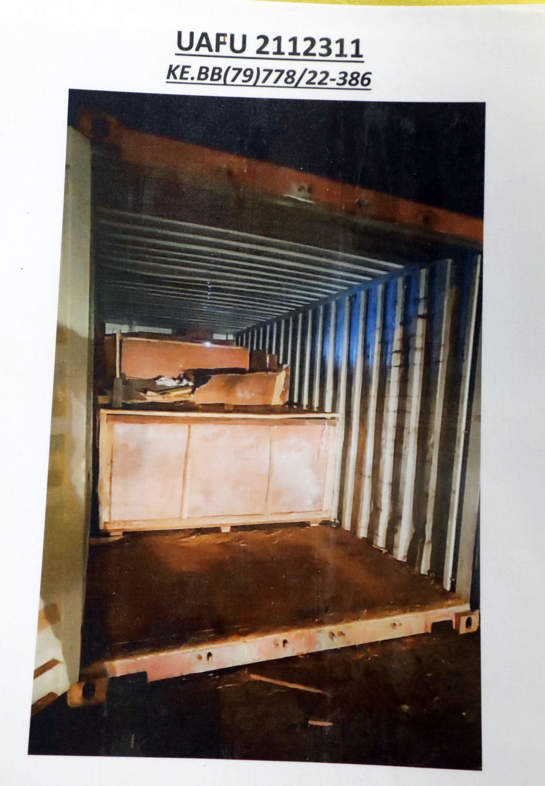 全国/关税局破获史上最大宗象牙走私案