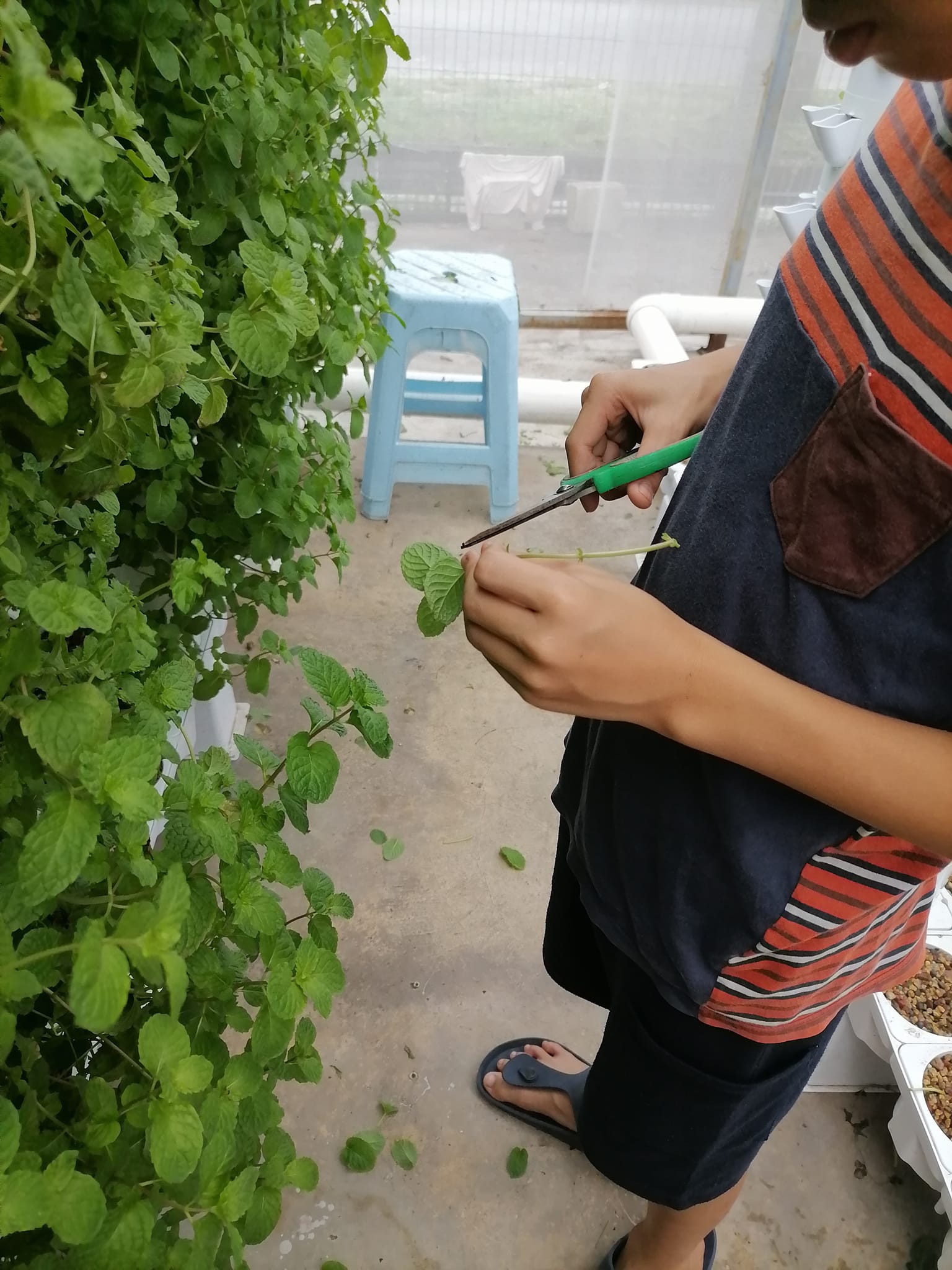 福爱之家小朋友自制爆米花,自给自足