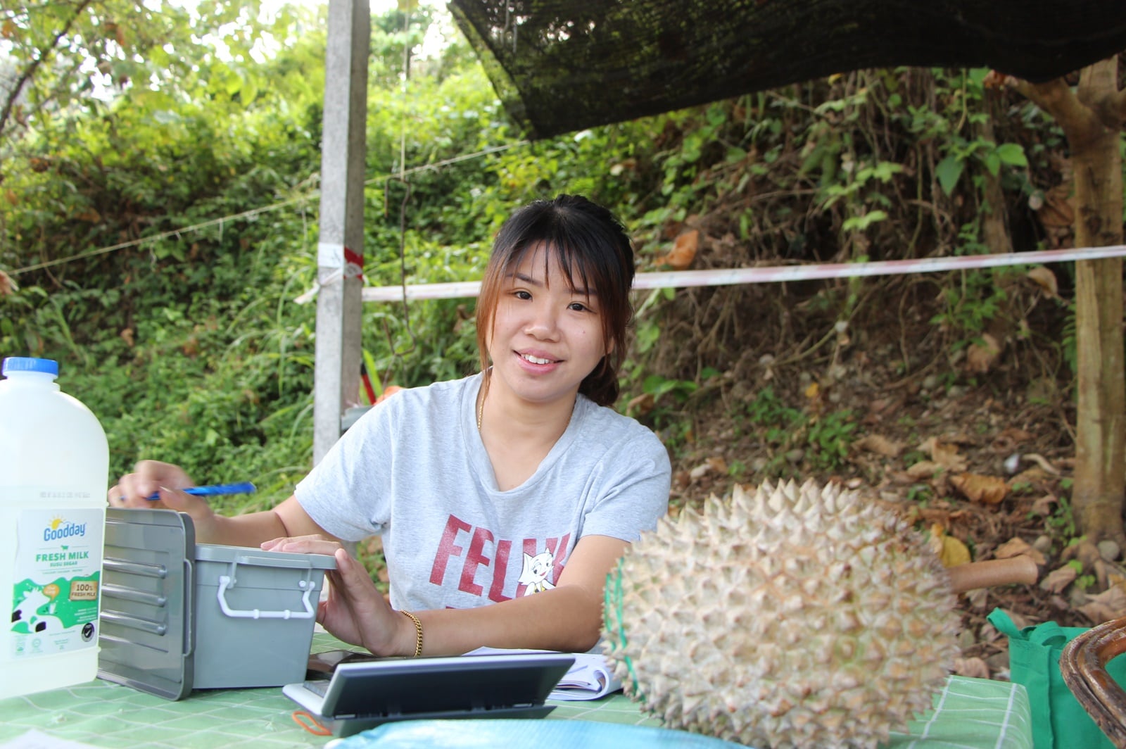 全:(求真/回应)A级猫山王榴梿收购价每公斤168令吉事件,榴梿收购商澄清确有其事