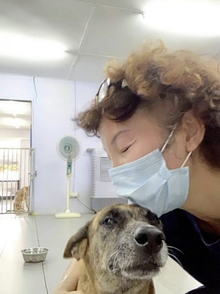 助养残障毛孩计划，帮助它们可以生活无忧