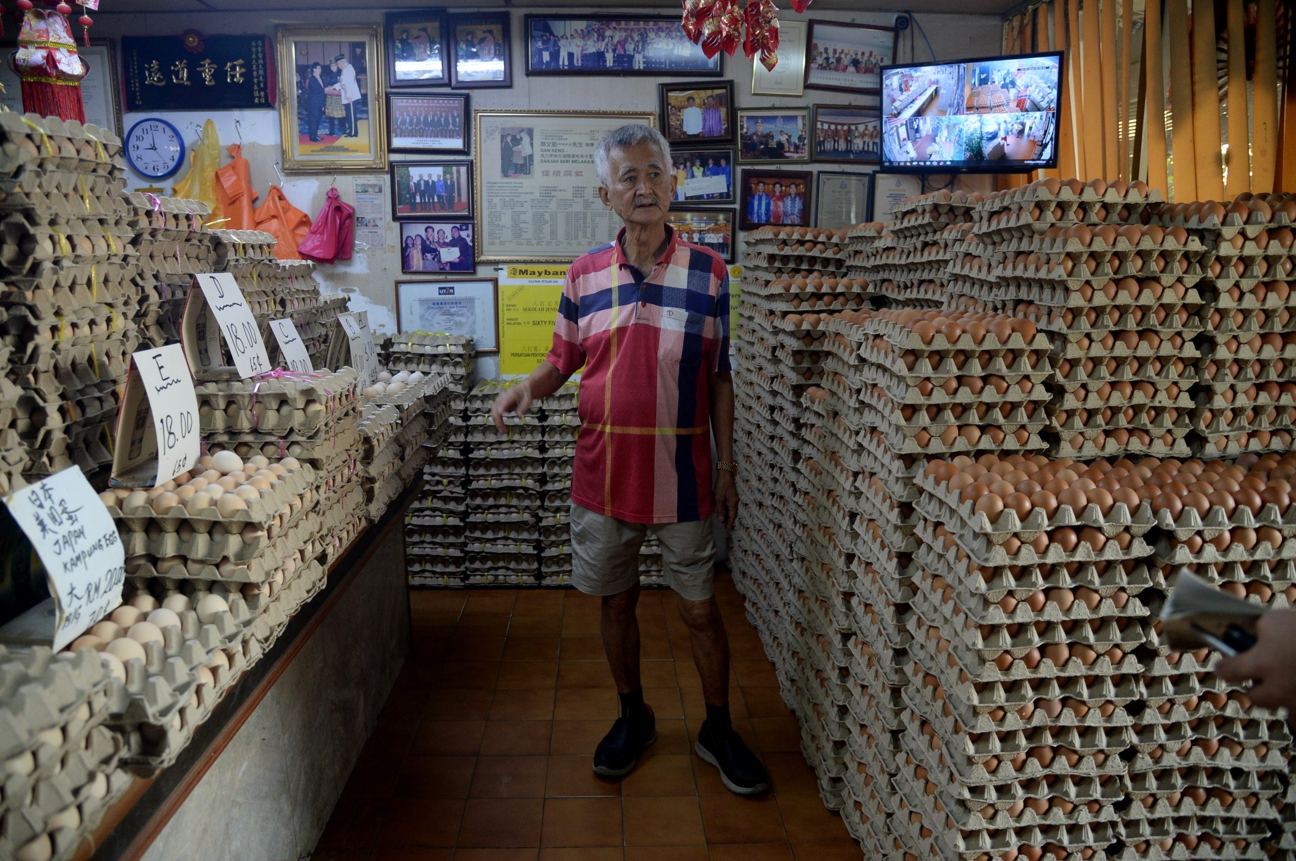 大都会-巡视市场上的鸡蛋价格