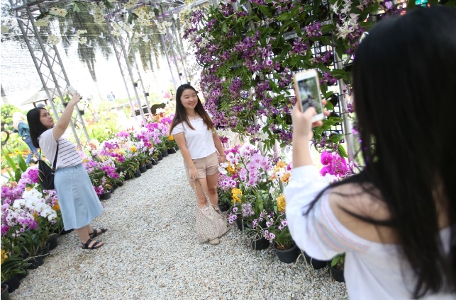 大都会 /ME04头/ 布城皇家花卉展推介礼 / 2图