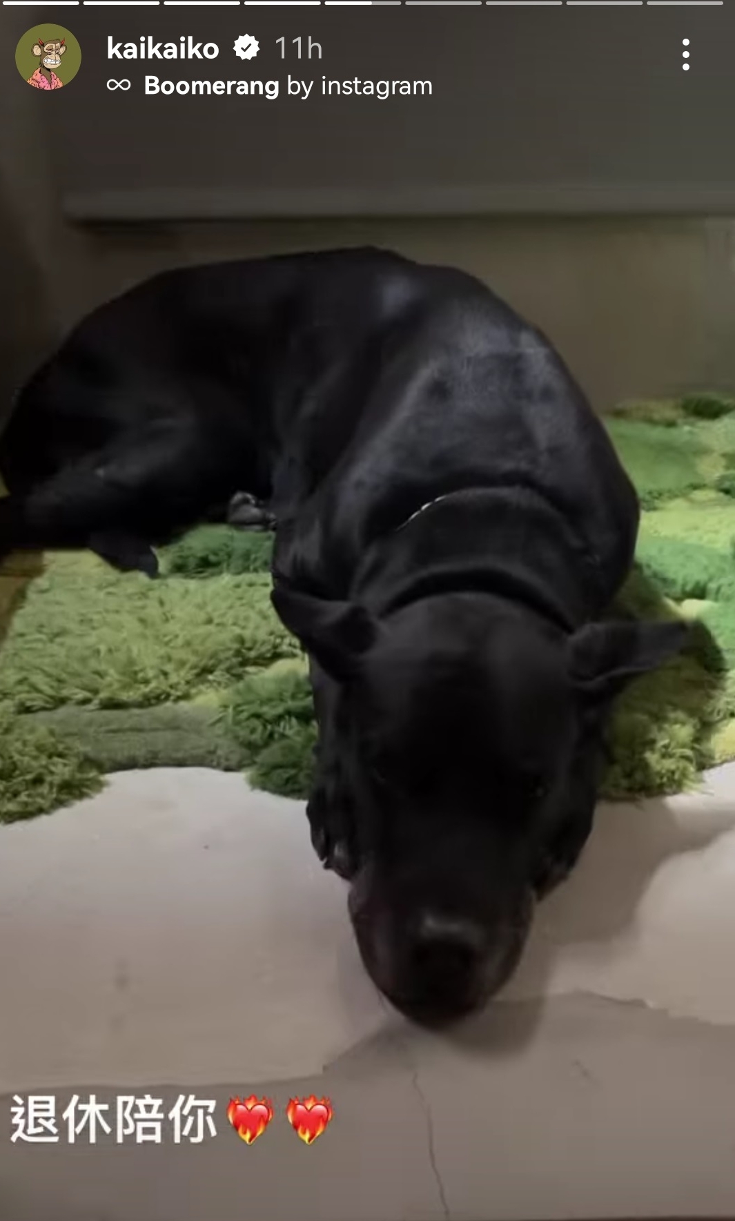 夺影帝喊想退休遭狂酸 柯震东无奈:当演员真的好累