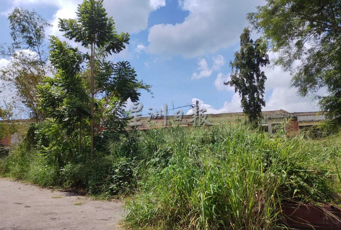 **已签发**柔:第二版头条:【民生特工队】:銮快乐园店屋区三角坡空地杂草丛生,吁当局定期清理或重新规划