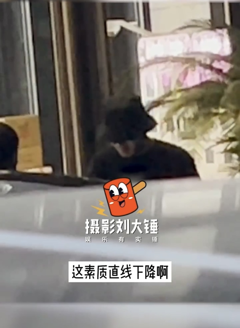 张彬彬被拍随手丢烟头 前公司遭质疑放黑料