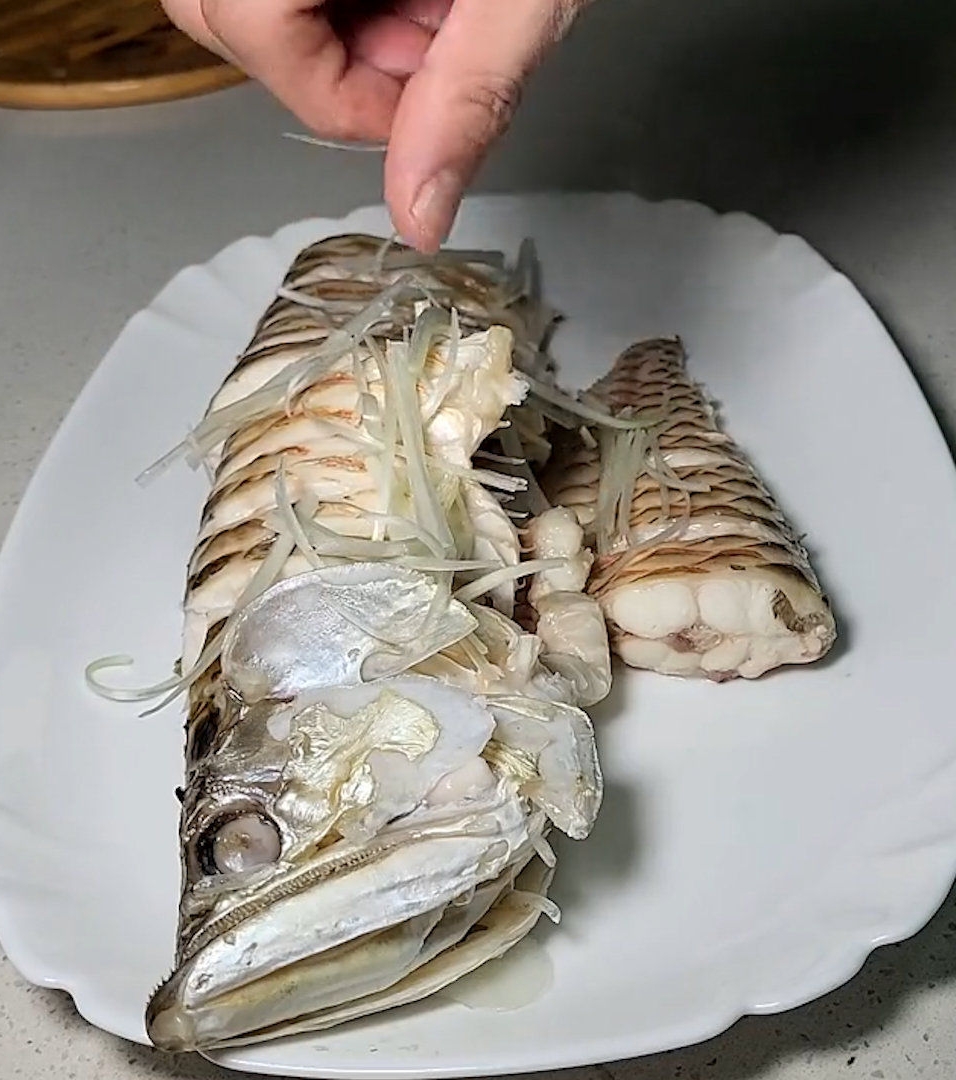 拼盘/20万“银龙鱼”暴毙!饲主忍痛清蒸 含泪吃下肚大赞:好嫩