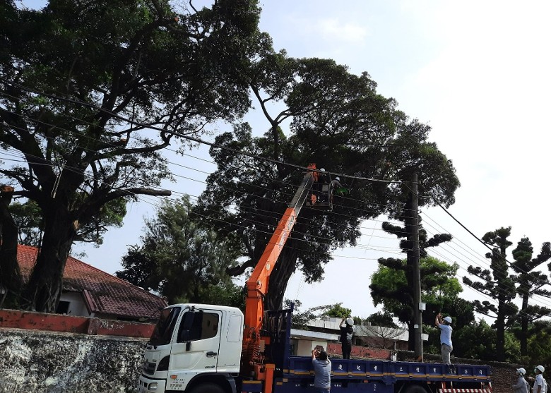 拼盘/修树误毁鸟巢 市府民间用菜篮制新居